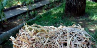 L’âme vivante de la bienveillance