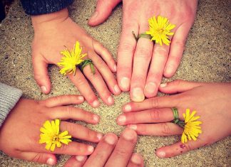 Alain Rech – Année 2019