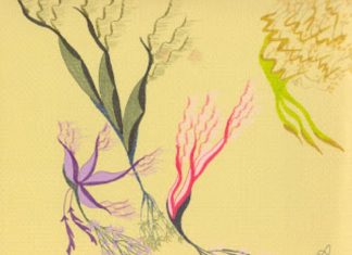 En Compagnie des Anges