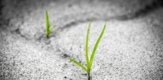 L’espoir est fondamental pour l’évolution spirituelle