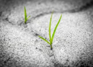 L’espoir est fondamental pour l’évolution spirituelle