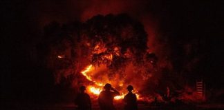 Vos Pensées Illuminées sont Nécessaires Maintenant