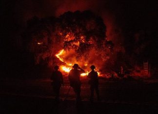 Vos Pensées Illuminées sont Nécessaires Maintenant