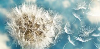 Vous jonglez avec de nombreux mouvements Astrologiques