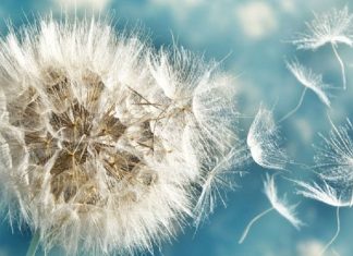 Vous jonglez avec de nombreux mouvements Astrologiques