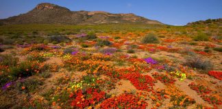 Il n’existe nulle barrière entre nos deux mondes