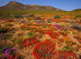 Il n’existe nulle barrière entre nos deux mondes