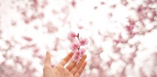 Permission d’Être Heureux