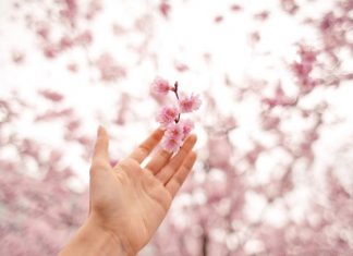 Parler avec les fleurs apporte une telle paix