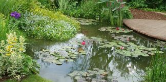 Où Vous Êtes Est Où Nous Sommes