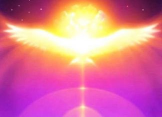 Je ne vous apporte pas seulement la guérison, mais je vous apporte la joie, l’amour et la paix