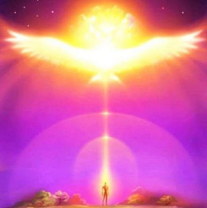 joie-amour-paix-colombe