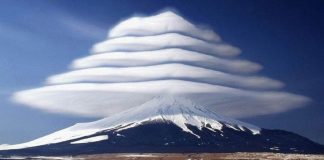 Vous êtes prêt pour cette belle transformation