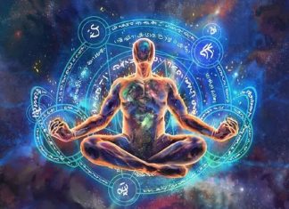 Évolution Dimensionnelle