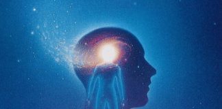 Vous ne perdez pas la mémoire