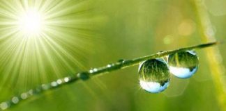 Le Créateur – Temps Calme