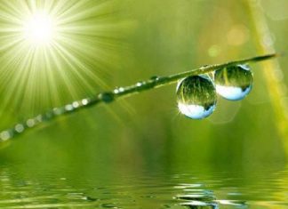 Le Créateur – Temps Calme