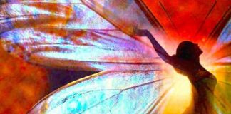 Vous êtes un Papillon, pas une Chenille