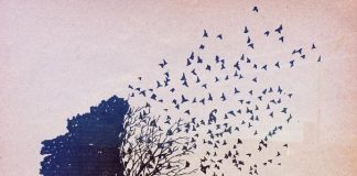 Devriez-vous partir ou rester ?