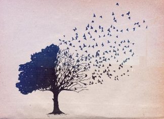 Devriez-vous partir ou rester ?