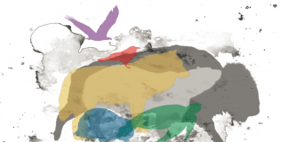 Enseignements des sept grands-pères