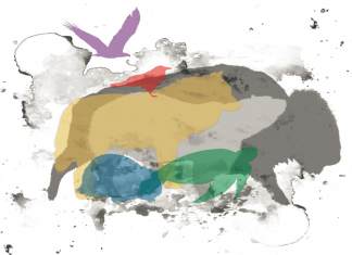 Enseignements des sept grands-pères