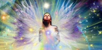 La qualité d’Amour connue sous le nom de «transfiguration»