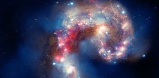 Les civilisations stellaires libres (5/10)