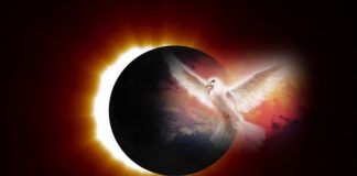 Lumières d’Août 2018 !