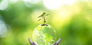 Évolution et Expansion