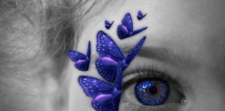 Vous Êtes et Nous Vous le révélons