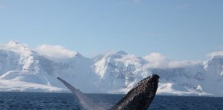 Pourquoi avez-vous avez l’impression que c’est de plus en plus difficile?