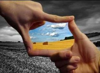 Le Conseil – La Réalité