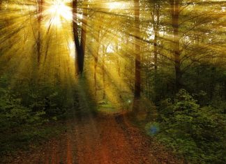 CHRIST JESUS : Acceptez que vous êtes Lumière