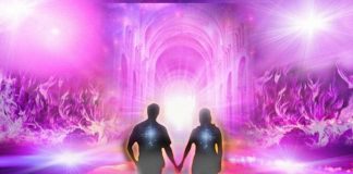 Deux compétences inédites pour s’adapter à la Nouvelles Terre