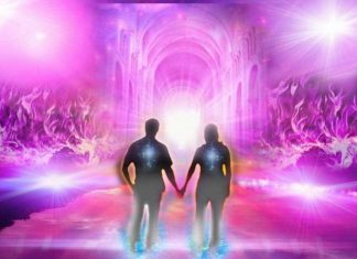 Deux compétences inédites pour s’adapter à la Nouvelles Terre