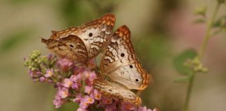 Qu’en est-il de l’Amour dans votre vie de tous les jours?