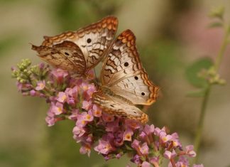 Qu’en est-il de l’Amour dans votre vie de tous les jours?