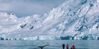 C’est l’heure du retour, la reprise du sceau de l’Amour!