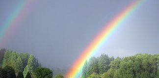 Libérer la pensée paisible