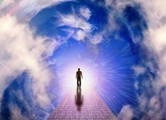 Regardez Seulement vers l’Avant