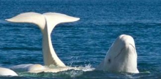 Comment illuminer vos vieux schémas de pauvreté