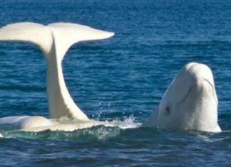 Comment illuminer vos vieux schémas de pauvreté