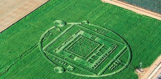 Marie : Le Plan NESARA