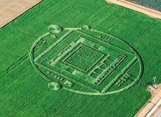 Marie : Le Plan NESARA