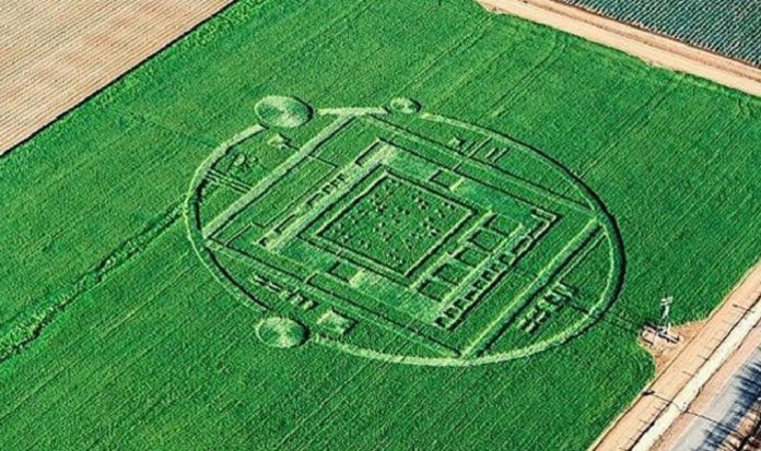 crop-circle-NESARA