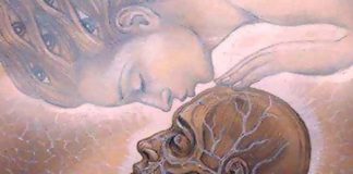 Rapport Énergétique sur les Flammes Jumelles : Le Grand Nettoyage Masculin