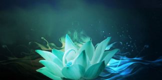 Le Créateur – Restez Concentré et Calme