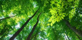 Pincer ou Laisser Couler l’Amour