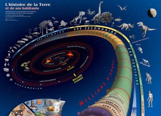 Le potentiel réel du cerveau